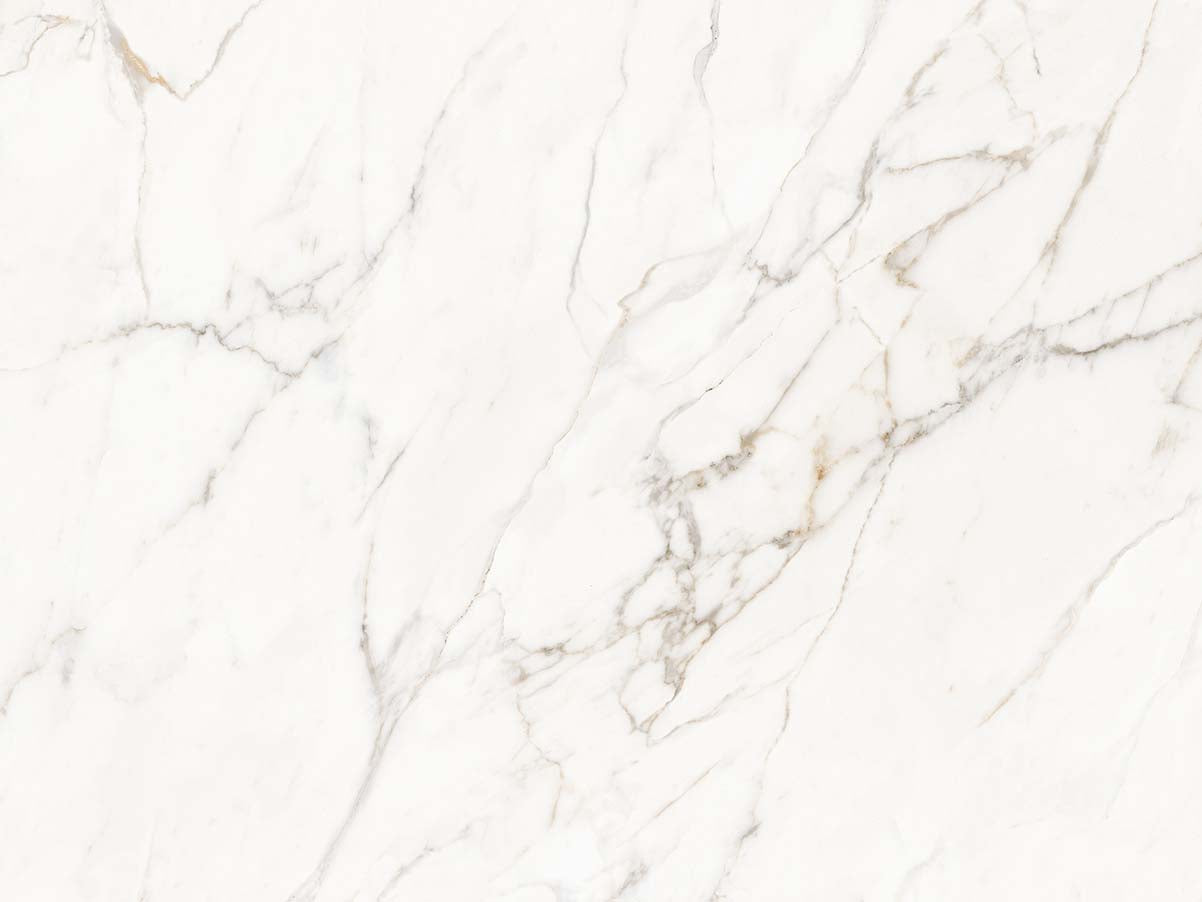 Calacatta Lucca Tile