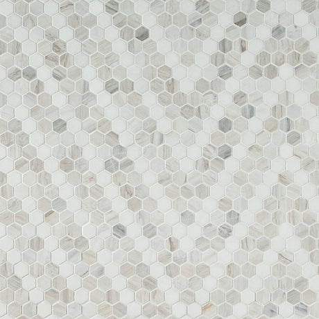 Angora Sazi Polished Tile