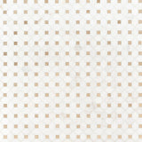 Bianco Dolomite Crema Dotty Pattern Tile