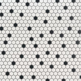 Black And White 1” Hexagon Mosaic Tile