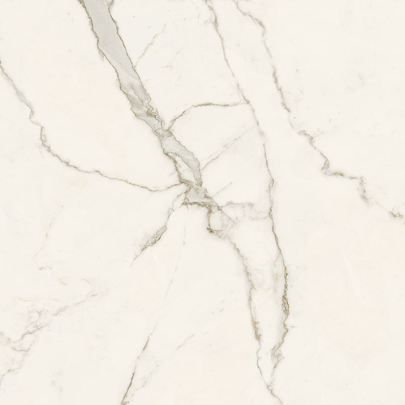 Calacatta Isla Tile