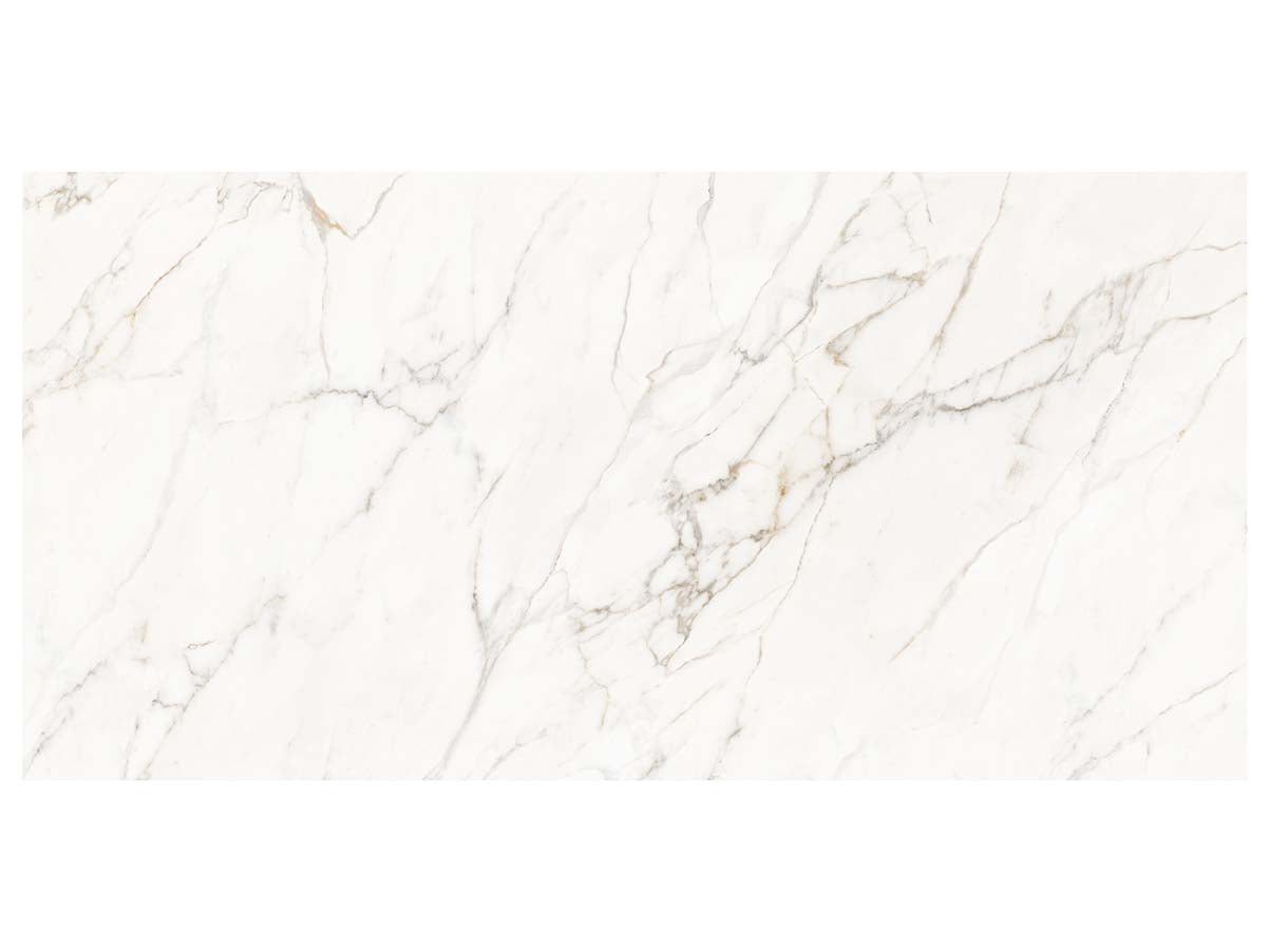 Calacatta Lucca Tile