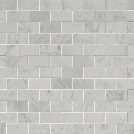 Carrara White Tile 2x4 Tile