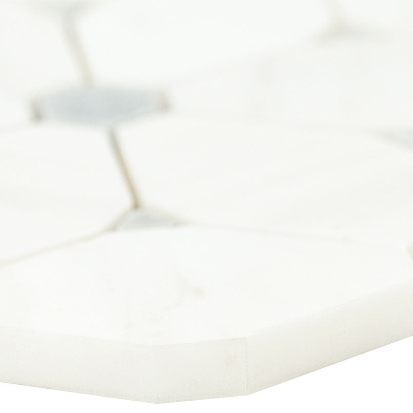 Cecily Grigio Polished Tile