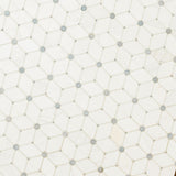 Cecily Grigio Polished Tile