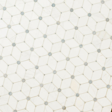 Cecily Grigio Polished Tile