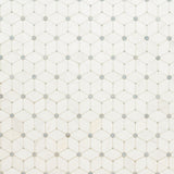 Cecily Grigio Polished Tile