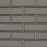 Champagne Bevel Subway Tile 2x6 Tile