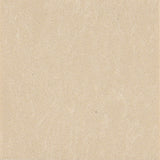 Champagne Limestone Engineered Marble Tile