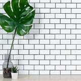 Domino White Subway Tile