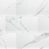 Dymo Statuary 12x24 Tile