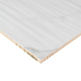 Dymo Statuary Stripe White Tile 12x24 Tile
