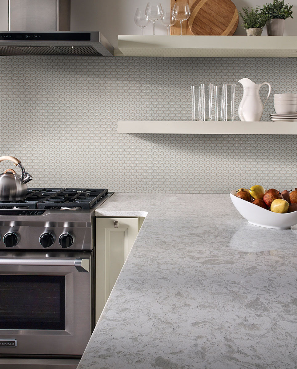 Gray Glossy Penny Round Mosaic Tile