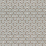 Gray Glossy Penny Round Mosaic Tile
