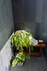 Basalt Blue Bamboo Pattern Tile