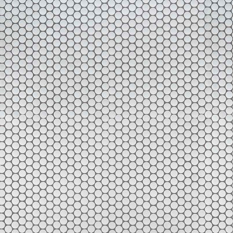 Penny Round Bianco Matte Tile