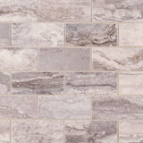 Bernini Carbone Porcelain Tile 2x4 Tile