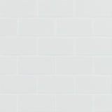 Retro Bianco Matte Tile 2x4 Tile