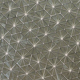 Stella Grigia Glass Tile