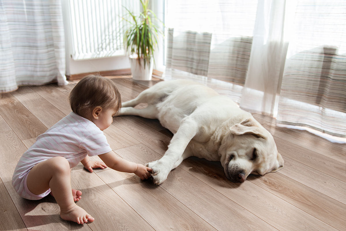 XL Cyrus® Whitfield Gray® Luxury Vinyl Planks